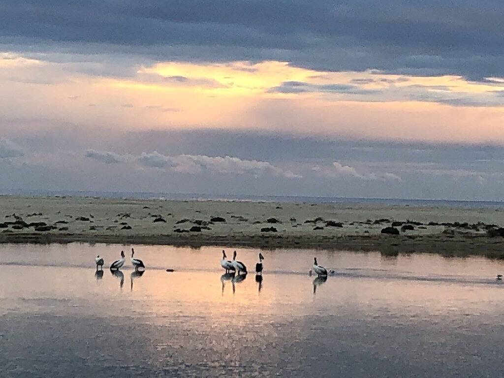 Ganze Wohnung, Spectacular Waterfront apartment. Best location in The Entrance. in The Entrance, New South Wales