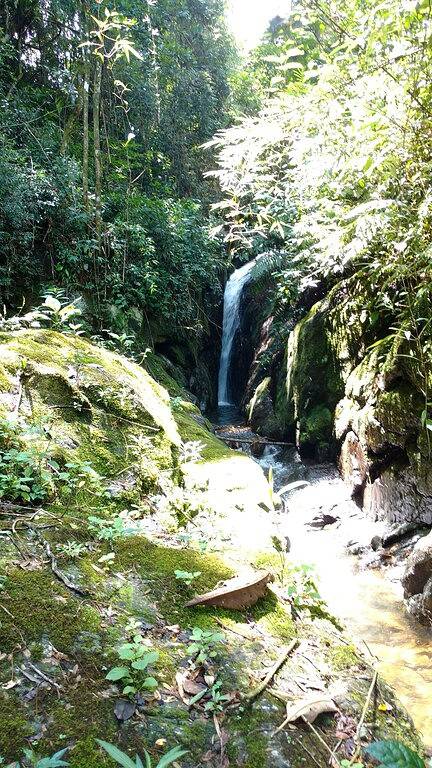 Gîte pour 18 personnes, avec jardin ainsi que piscine et sauna à Resende (Brasil) - 2