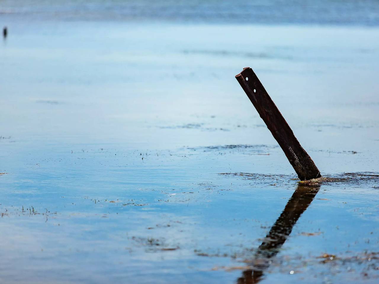 Entire apartment, 1 Exhibit 3 Persons in Balaruc-les-Bains, Côte d'Améthyste