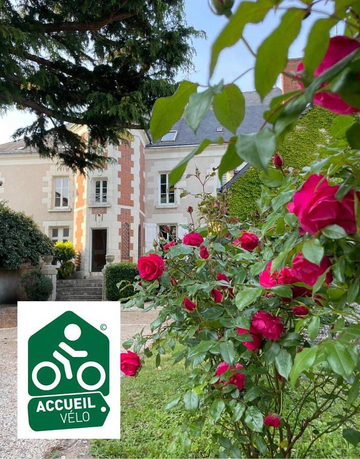 Chambre d’hôte pour 5 personnes, avec jardin ainsi que vue et terrasse à Onzain - 4