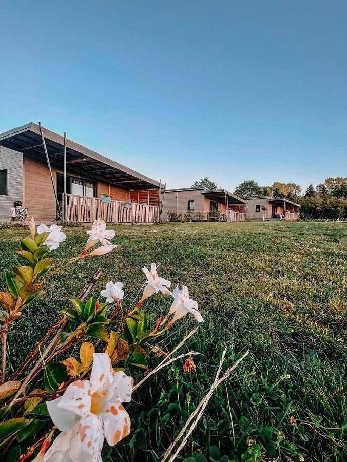 Camping pour 4 personnes, avec Jacuzzi et Terrasse ainsi que Jardin et Sauna