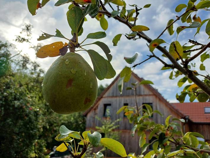 Alte Stallung in Bahretal, Elbsandsteingebirge