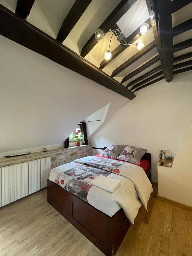 Gîte pour 2 personnes, avec jardin à Hargeville - 4