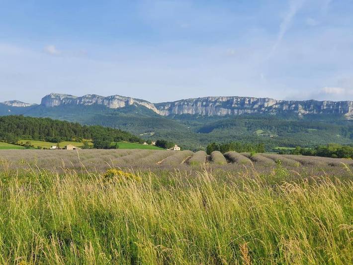 Location de vacances pour 6 personnes, avec jardin ainsi que vue et piscine, animaux acceptés à Rochebaudin - 4