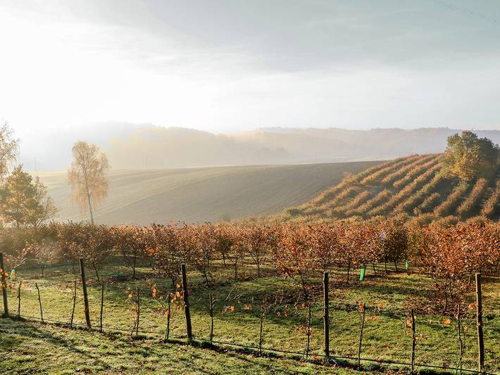 Jura dla Ciebie in Schlesien