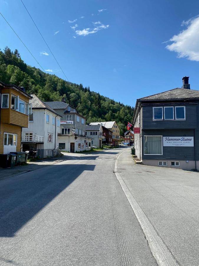 Hammerstuene mat - og gjestehus in Surnadal, Nördliches Fjordnorwegen