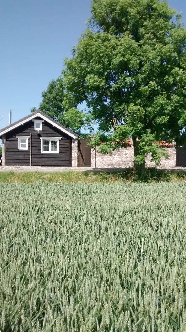 Ferienhaus für 4 Personen, mit Terrasse und Garten sowie Ausblick in Cadzand - 4