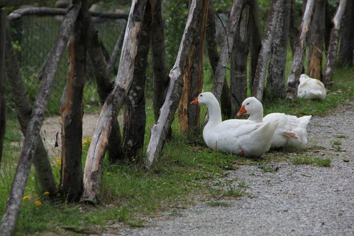 Hôtel pour 3 personnes, avec piscine et vue ainsi que vue sur le lac et jardin, adapté aux familles à Pennabilli - 2