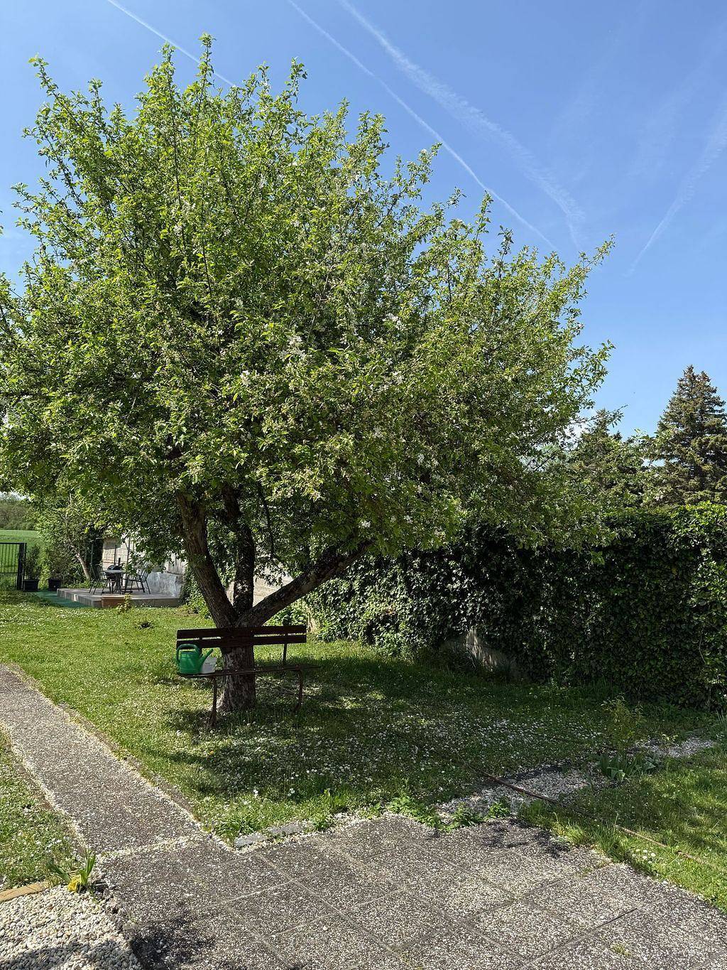 Ganze Wohnung, Apartment Anna – Austrian Country House - Ferienhaus in Marchegg, Gänserndorf