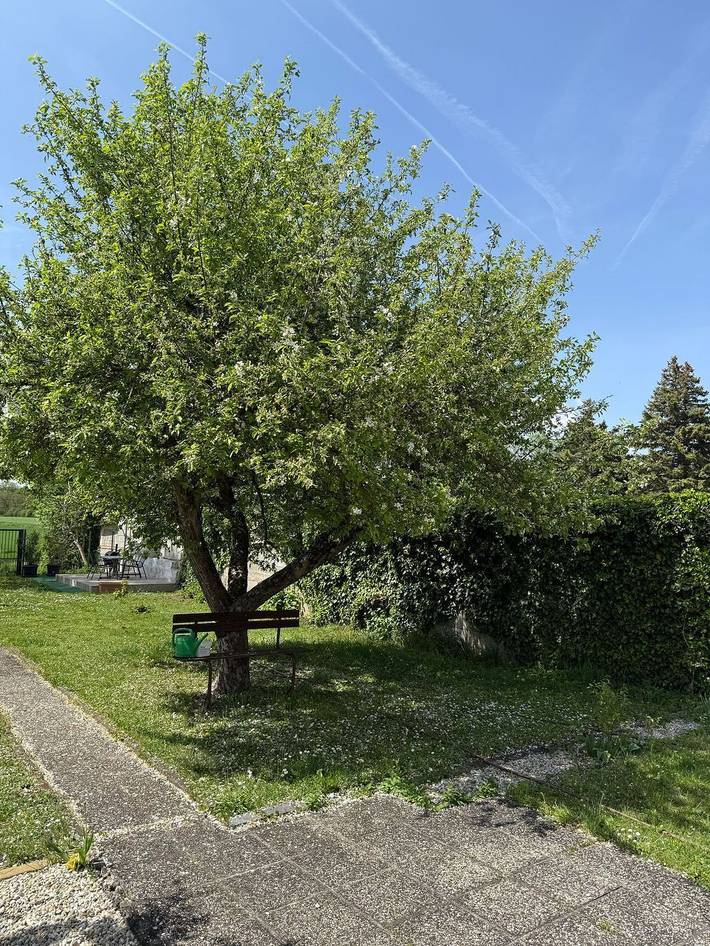 Ferienwohnung für 5 Personen, mit Terrasse und Garten, mit Haustier - 1