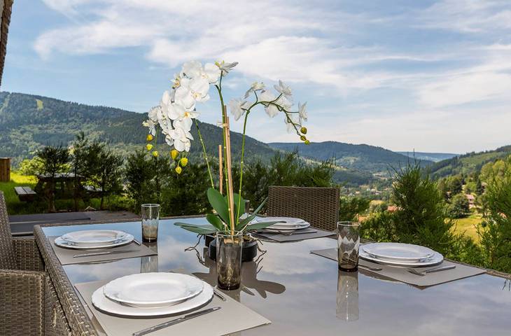 Gîte pour 6 personnes, avec sauna ainsi que terrasse et jardin, animaux acceptés au Parc naturel régional des Ballons des Vosges