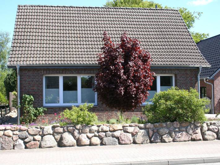 Ferienhaus für 6 Personen, mit Terrasse in Eider-Treene-Sorge - 3