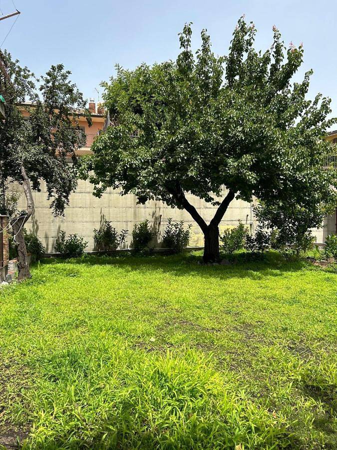 Location de vacances pour 6 personnes, avec jardin et vue à Pedara - 2