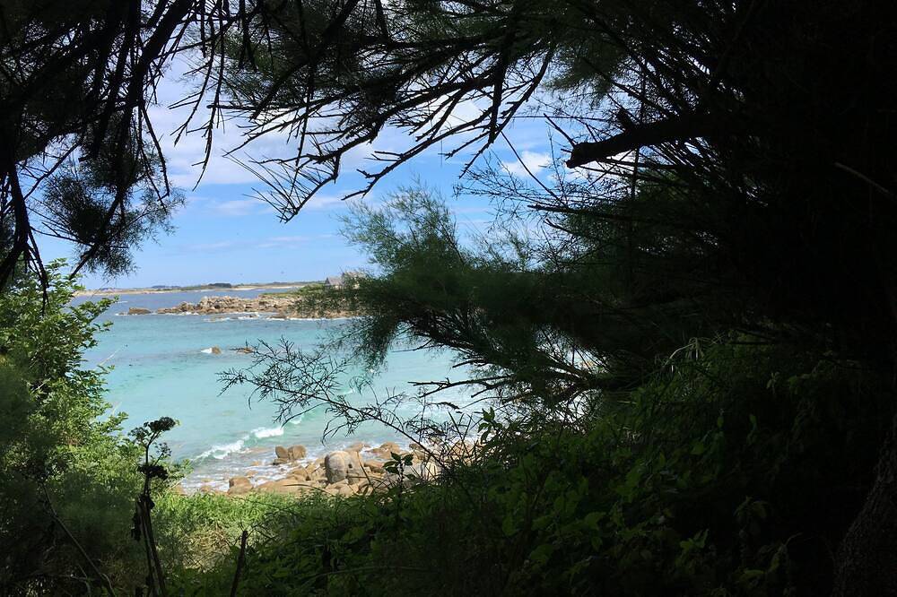 Votre refuge cosy en Bretagne . Mer à 2 pas, nature, jardin clos, animaux admis in Sibiril, Ceinture Dorée