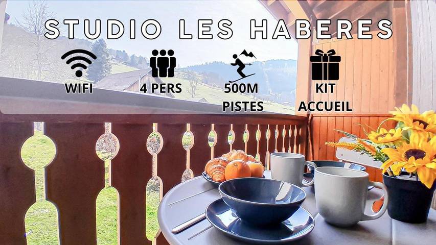 Gîte pour 4 personnes, avec terrasse et vue à Habère-Poche