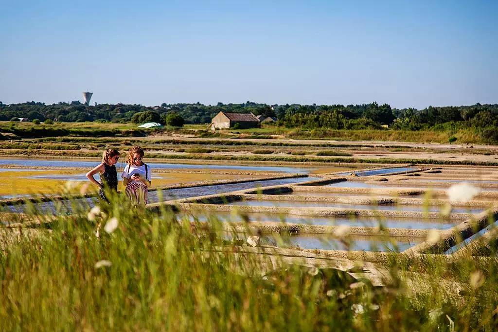 Mobilheim 3 Zimmer 4/5 Personen in Guérande, Côte d'Amour