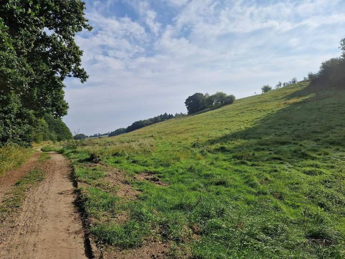 Ferienhaus für 12 Personen, mit Whirlpool und Terrasse sowie Sauna, kinderfreundlich in Lyngsbæk Strand - 3