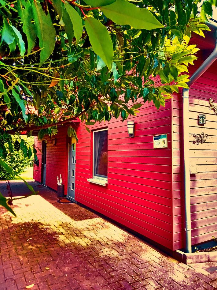 Ferienhaus für 4 Personen, mit Garten und Terrasse in Bourtanger Moor - 2
