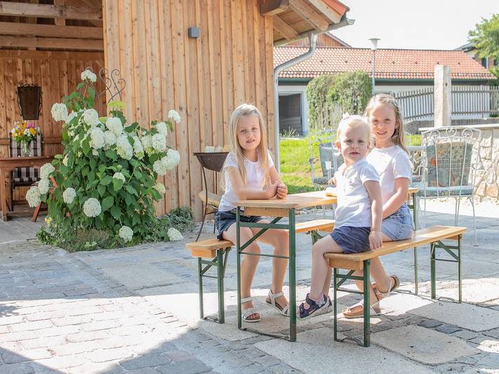 Ferme pour 6 personnes, avec Balcon/Terrasse ainsi que Terrasse et Jardin à Wegscheid - 2
