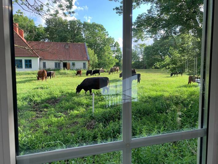 Ferienhaus für 8 Personen, mit Garten, kinderfreundlich in Büsum-Wesselburen - 4