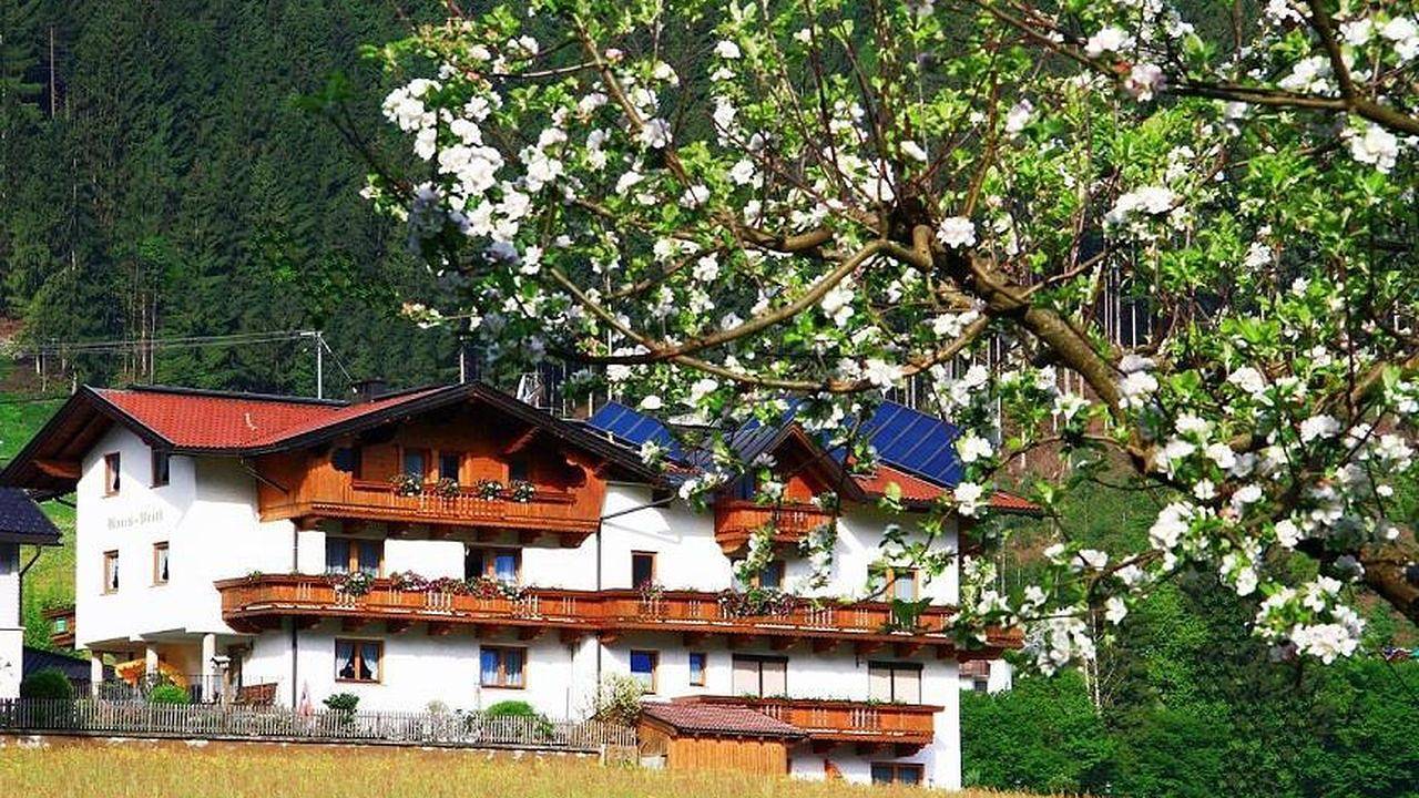 Ganze Ferienwohnung, Ferienwohnung für 4 Personen (45 m²) in Ried im Zillertal in Ried im Zillertal, Ski-Optimal Hochzillertal