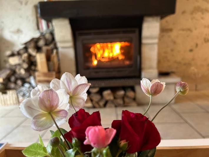 Location de vacances pour 4 personnes, avec jardin à Foussais-Payré - 3