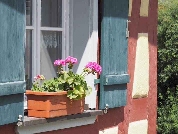 Ferienhaus für 3 Personen, mit Balkon/Terrasse und Terrasse sowie Garten im Taubertal - 3