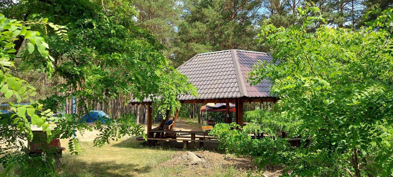One-Bedroom Chalet in Bory Tucholskie