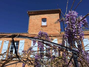 Chambre D’hôte pour 3 Personnes dans Lévignac (Haute-Garonne), Haute-Garonne, Photo 4