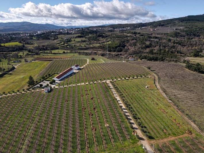 Aluguel de quarto para 2 pessoas, com Terraço e Jardim e ainda Vista em Covilhã