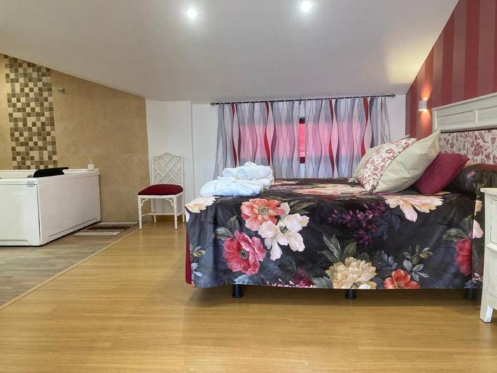 Gîte pour 2 personnes, avec terrasse et jacuzzi à El Barraco - 4