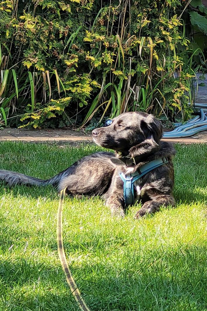 Ferienhaus für 3 Personen, mit Garten in Naturpark Barnim - 4