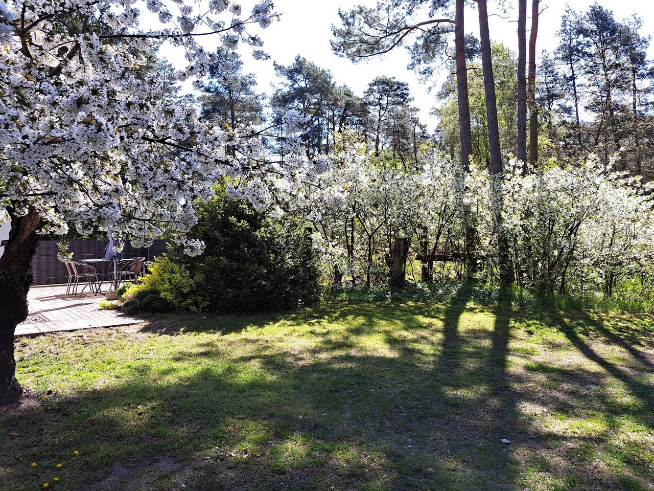 Mit Terrasse mitten im Grünen in Altwarp, Vorpommern Greifswald