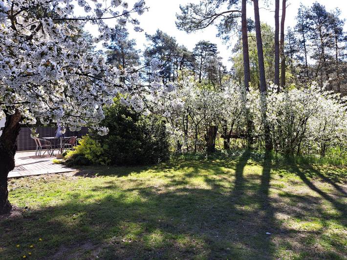 Mit Terrasse mitten im Grünen in Altwarp, Vorpommern Greifswald