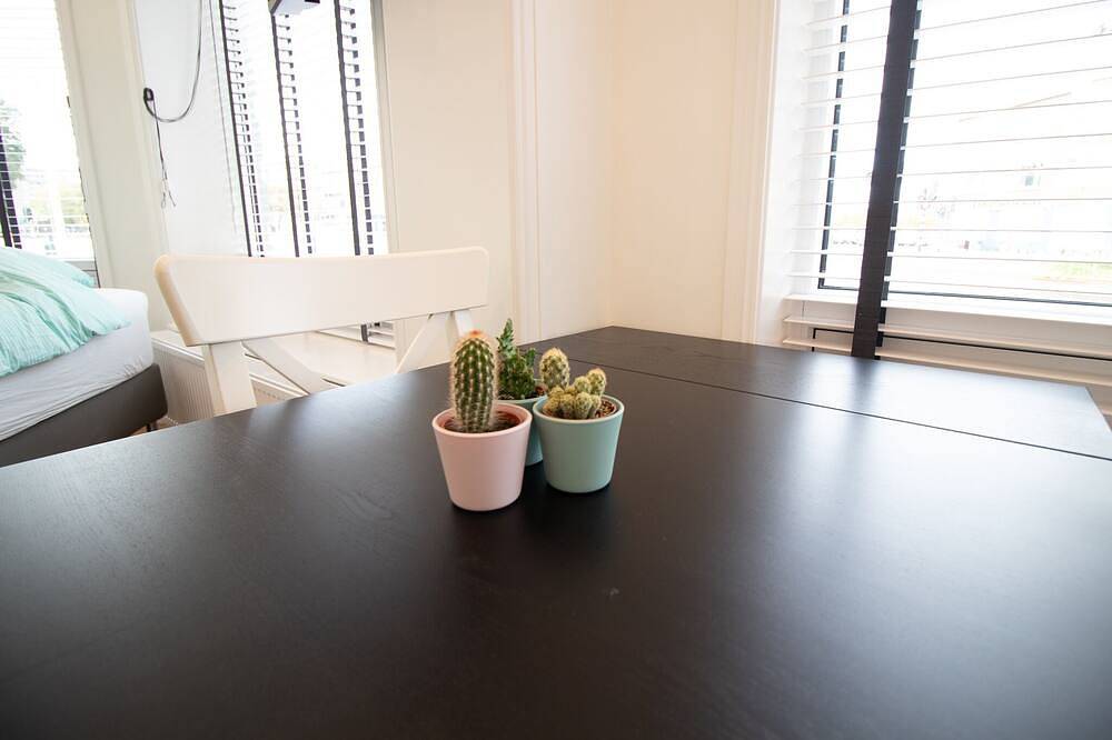 Cały apartament, Modern studio The Hague in Haga, Stadsgewest Haaglanden