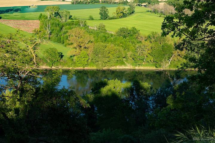 Chambre d’hôte pour 4 personnes, avec jardin dans le Tarn-et-Garonne - 3