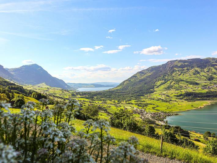 Ferienwohnung für 5 Personen, mit Garten und Ausblick am Vierwaldstättersee - 2