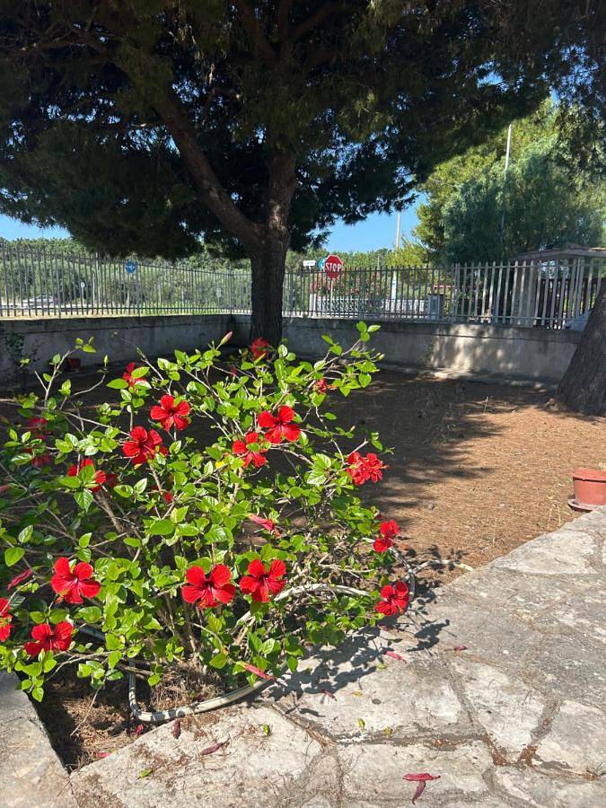 Villa Felice in Leporano Marina, Leporano