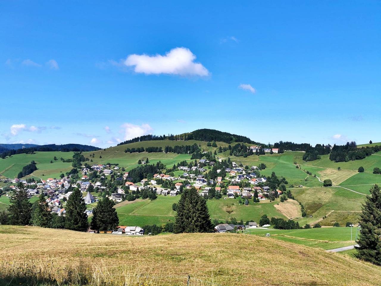 Ganze Ferienwohnung, Ferienwohnung Bergoase - Todtnauberg, Feldberg in Todtnauberg (Todtnau), Todtnau
