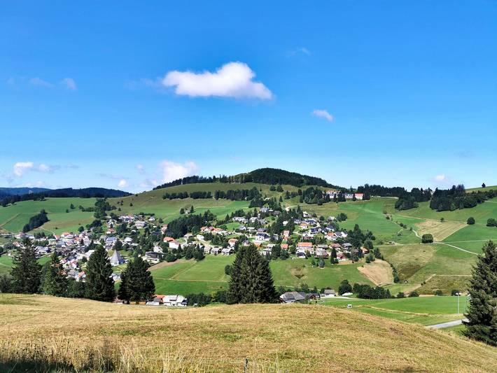 Ferienwohnung für 4 Personen, mit Terrasse und Garten in Todtnau - 2