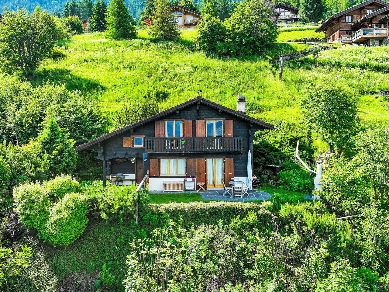 Cheechako in Nendaz, Walliser Alpen