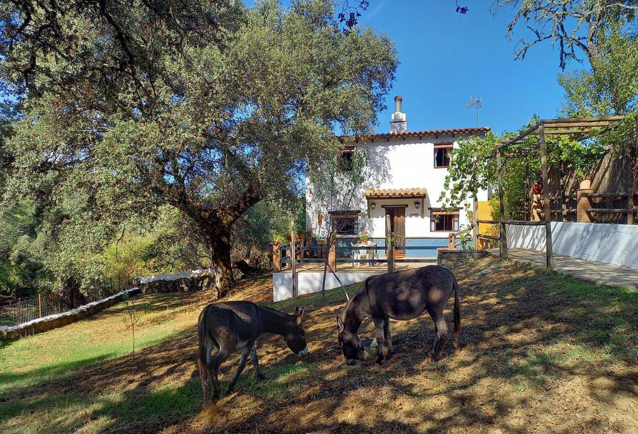 La Encina Casa Rural in Jabugo, Sierra de Aracena y Picos de Aroche