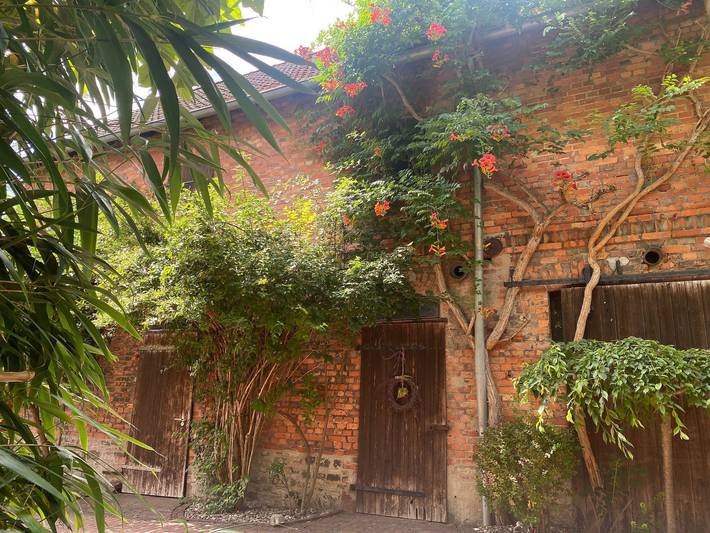 Ferienhaus für 16 Personen, mit Pool und Garten sowie Whirlpool in Saale-Unstrut - 4