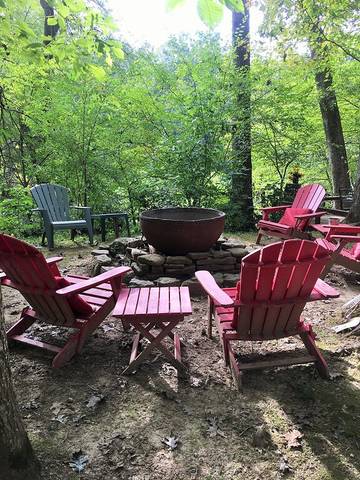 Vacation House for 6 Guests in Arkansas, USA, Picture 3