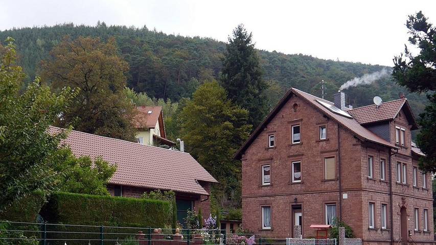 Hütte für 4 Personen, mit Garten im Pfälzer Wald - 2