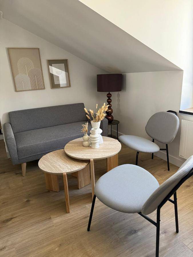 Appartement entier, Appartement charmant et cosy Encombe vineuse-Dabnb in Limoges, Région de Limoges