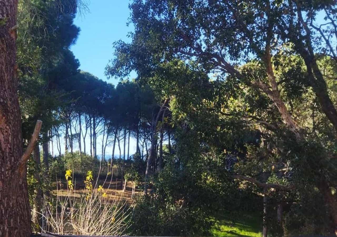 Seawoods - Nature Experience in Sant'Ambrogio, Cefalù (Comune)