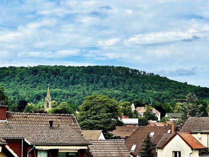 Ganze Ferienwohnung, Appartement/Fewo, Dusche, Wc, 1 Schlafraum in Bad Pyrmont, Landkreis Hameln-Pyrmont