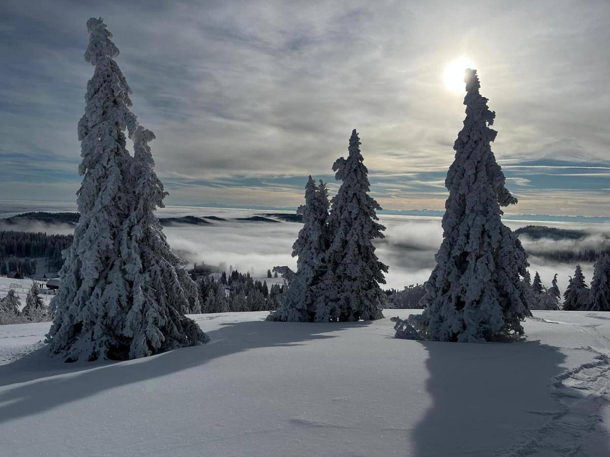 Single Room in Feldberg, Forêt-Noire du Sud