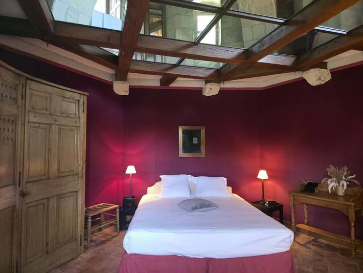 Hôtel pour 2 personnes, avec jardin ainsi que vue et piscine, animaux acceptés à Chissay-en-Touraine - 4